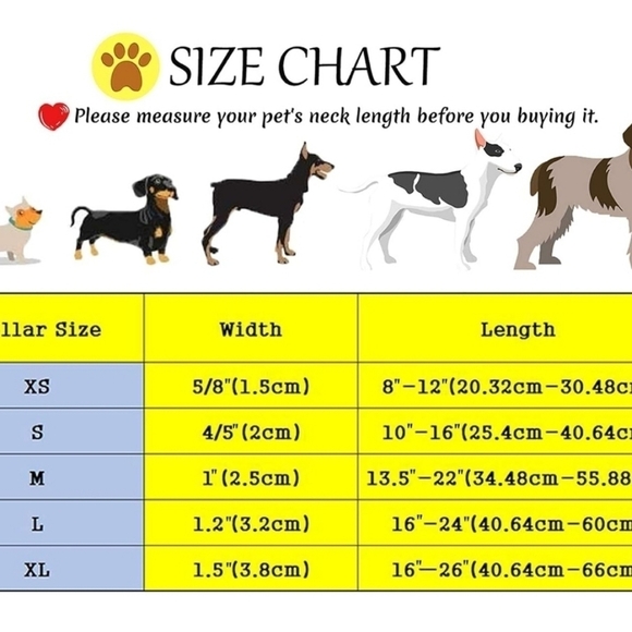 Dog collar whit flower new - Picture 5 of 5